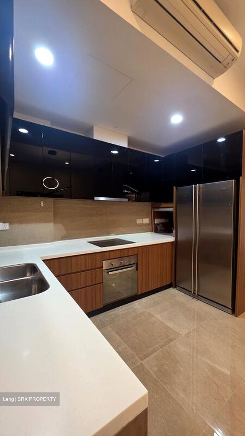 Holland Link (D10), Terrace #509647061